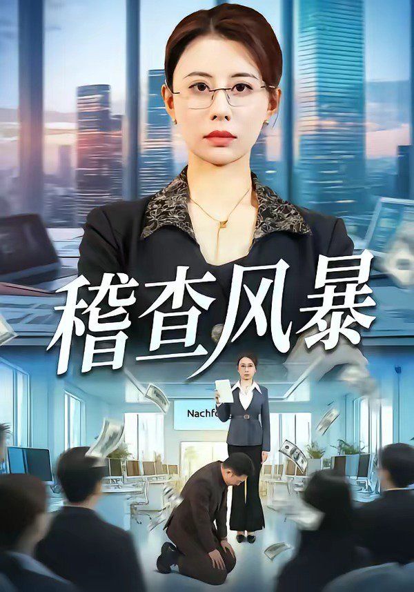 稽查风暴}