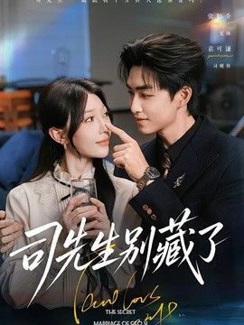 司先生别藏了