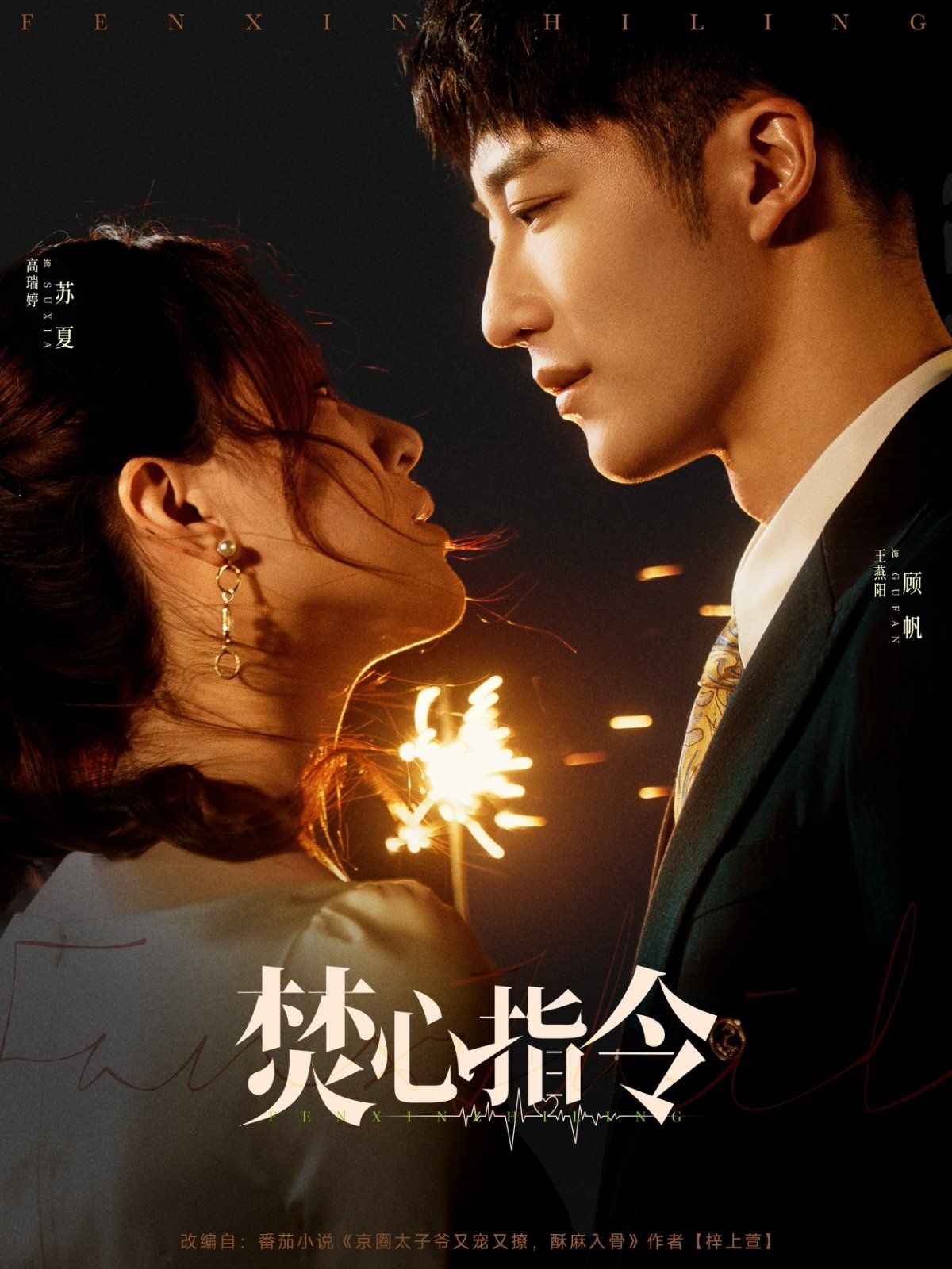 焚心指令}