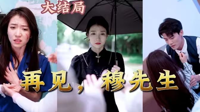再见，穆先生}