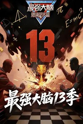 最强大脑第13季}