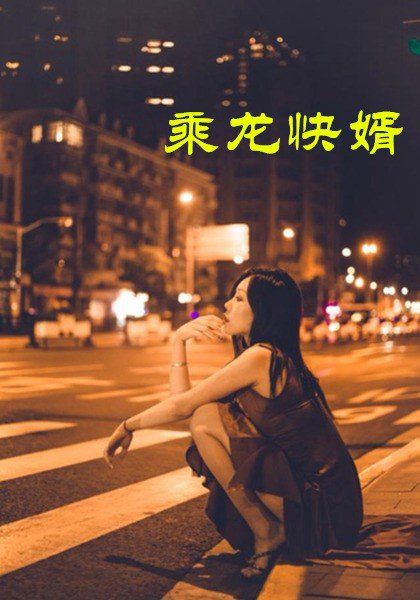 乘龙快婿}
