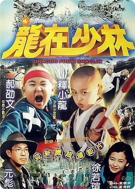 龙在少林}