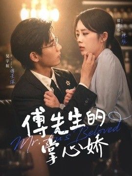 傅先生的掌心娇海报