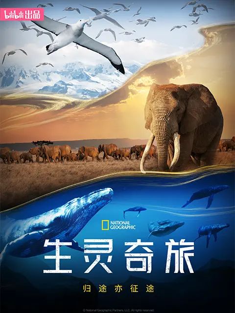生灵奇旅}