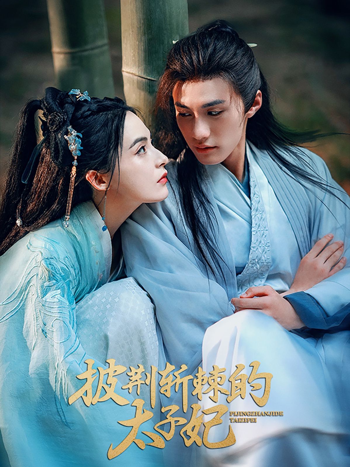 披荆斩棘的太子妃}