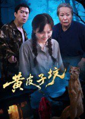 黄皮子坟}