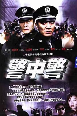 警中警}