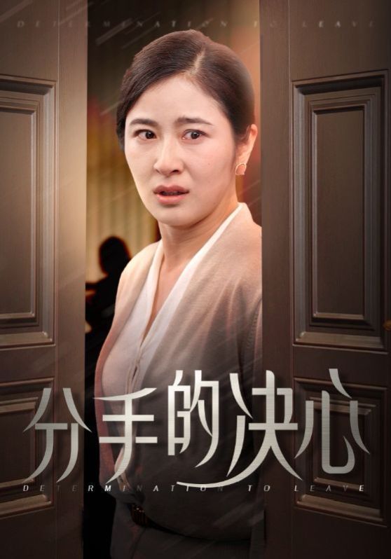 分手的决心}