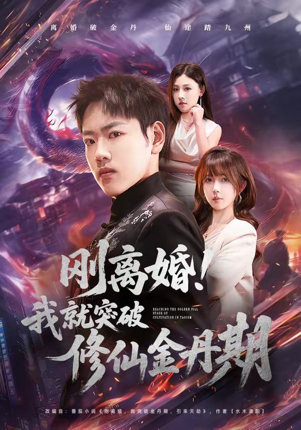 刚离婚！我就突破修仙金丹期}