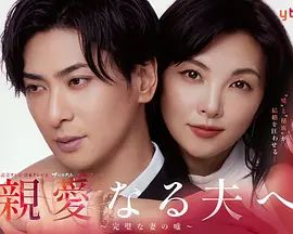 致亲爱的丈夫完美妻子的谎言