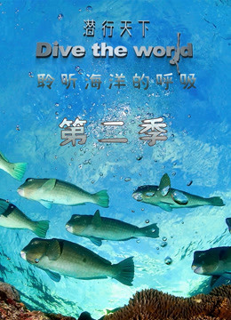 潜行天下 第二季}