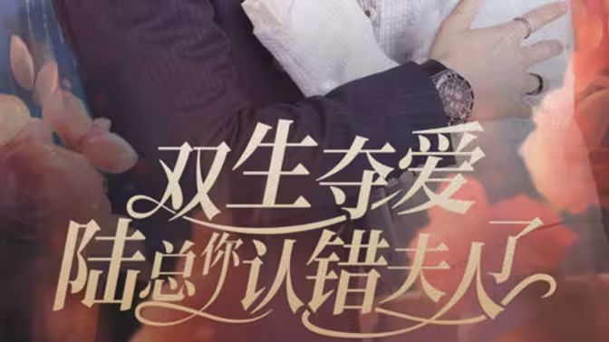 双生夺爱陆总你认错夫人了}
