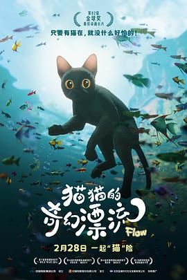 猫猫的奇幻漂流}