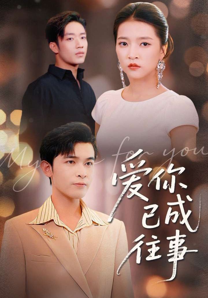 爱你已成往事}