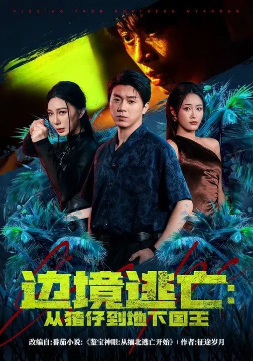 边境逃亡：从猪仔到地下国王}