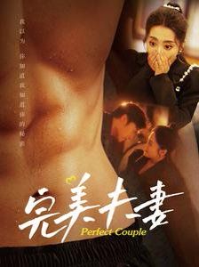 完美夫妻}