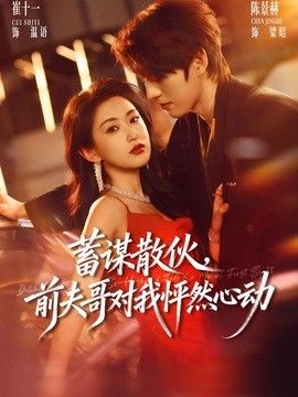 蓄谋散伙，前夫哥对我怦然心动海报