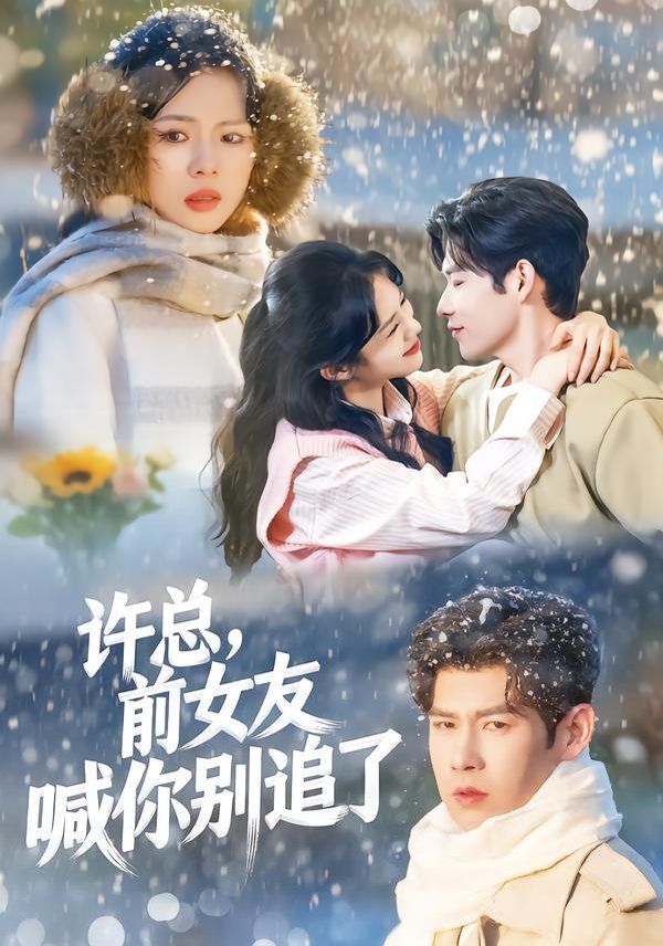 许总，前女友喊你别追了}