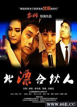 北漂合伙人}