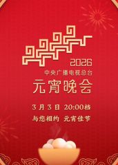 2026年中央广播电视总台元宵晚会}
