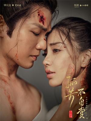 孤芳不自赏纪录片寻芳纪}