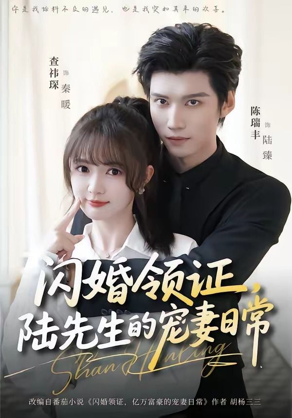 闪婚领证，陆先生的宠妻日常}