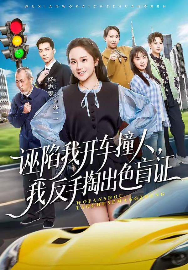 诬陷我开车撞人，我反手掏出色盲}