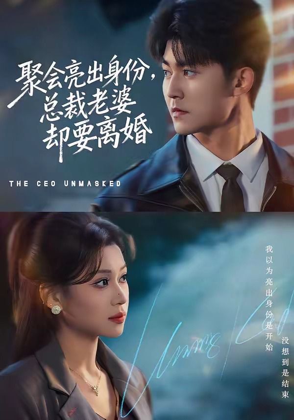 聚会亮出身份，总裁老婆却要离婚}