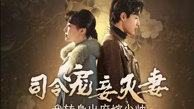 司令宠妾灭妻，我转身出府嫁少帅}