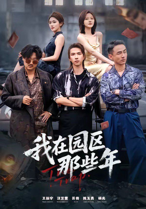 我在园区那些年}