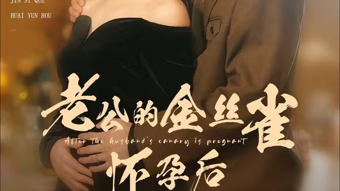 老公的金丝雀怀孕后}