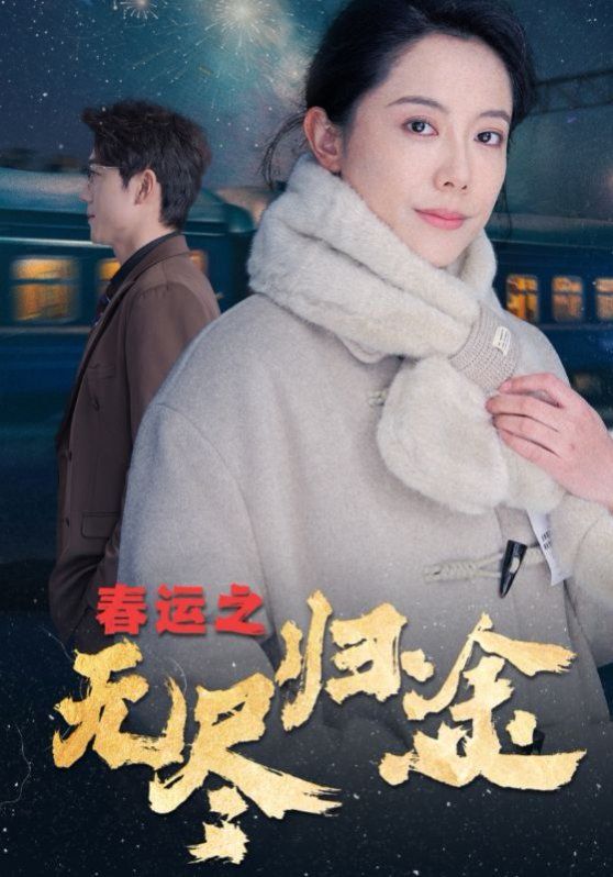 春运之无尽归途}