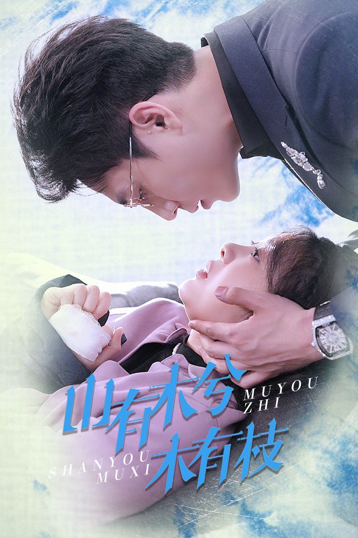 山有木兮木有枝}