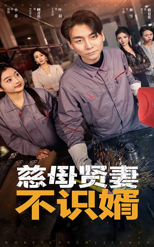 慈母贤妻不识婿}