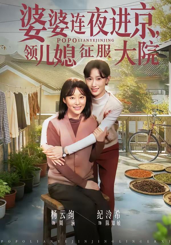 婆婆连夜进京，领儿媳征服大院}