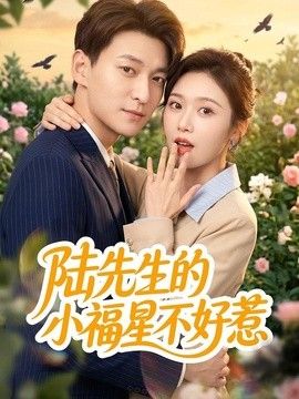 陆先生的小福星不好惹}