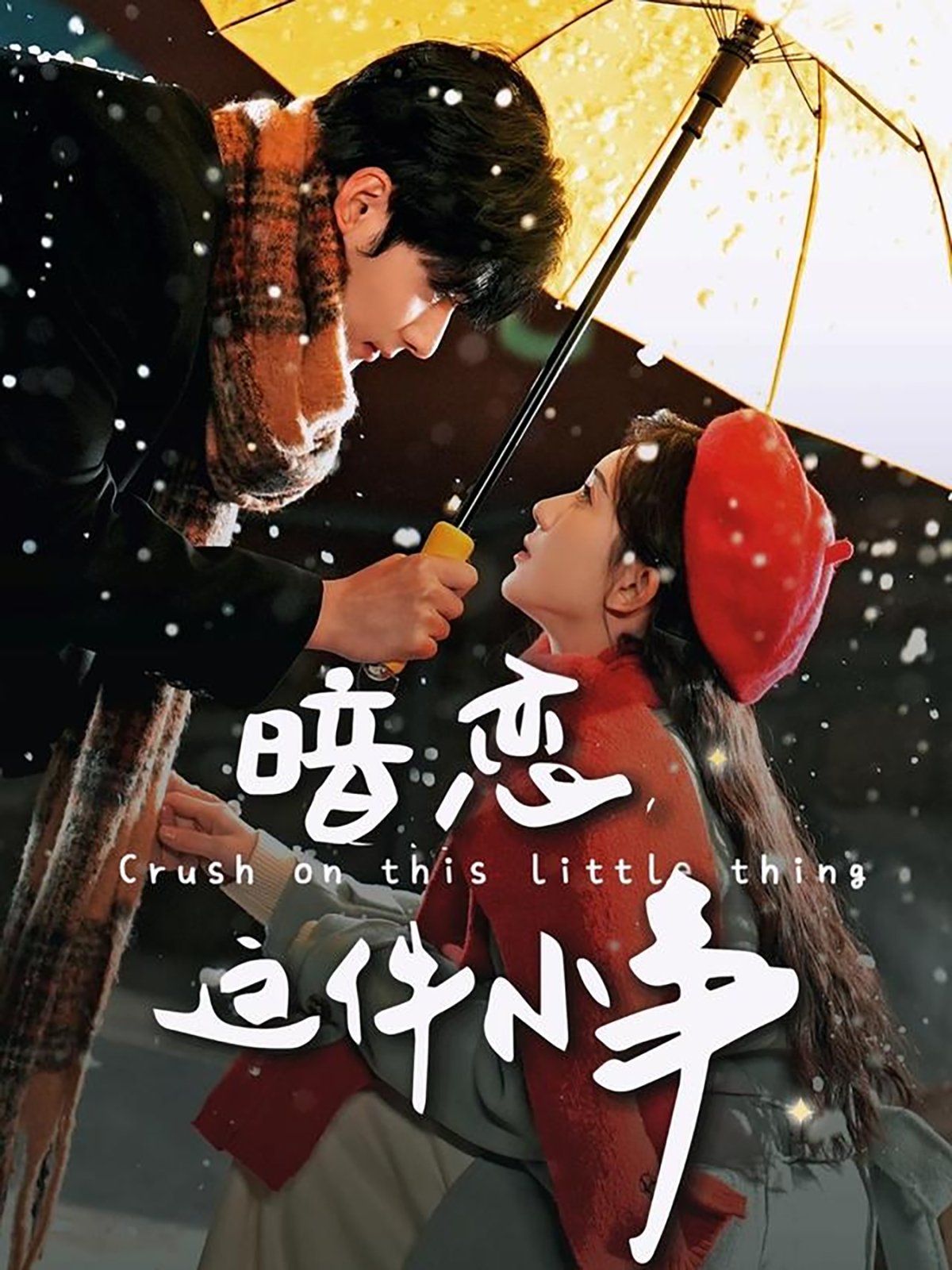 暗恋这件小事}