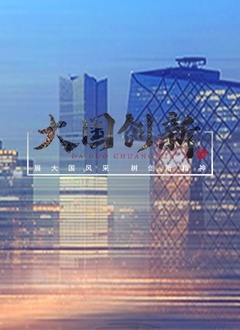 大国创新}