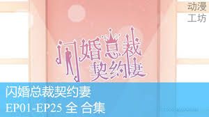 闪婚总裁契约妻}