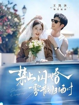 禁止闪婚，雾散归栖时}