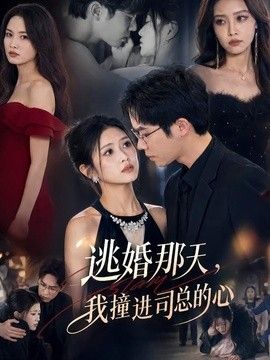 逃婚那天，我撞进司总的心}