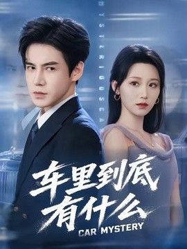 车里到底有什么}