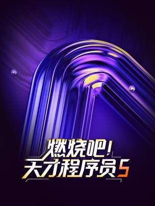 燃烧吧！天才程序员第五季}