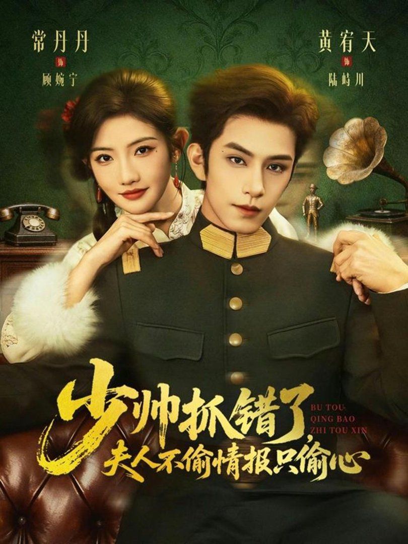 少帅抓错了，夫人不偷情报只偷心}