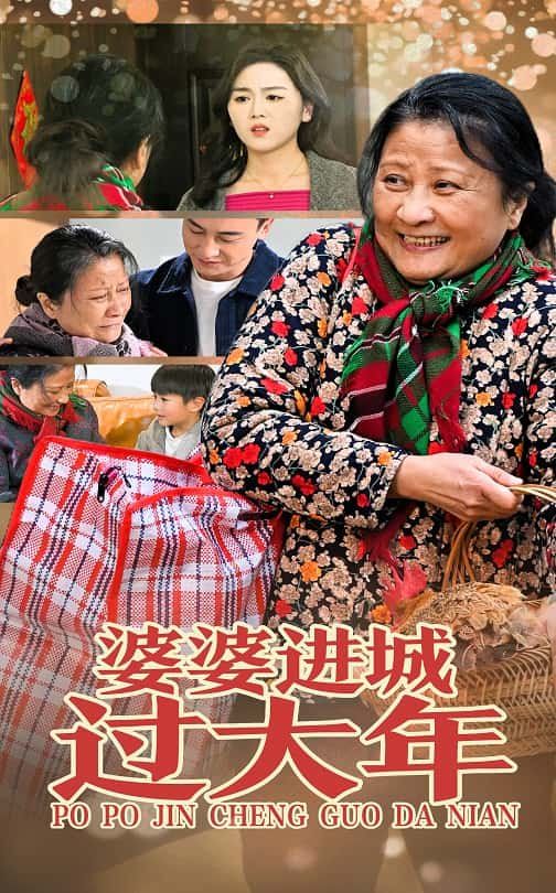 婆婆进城过大年}