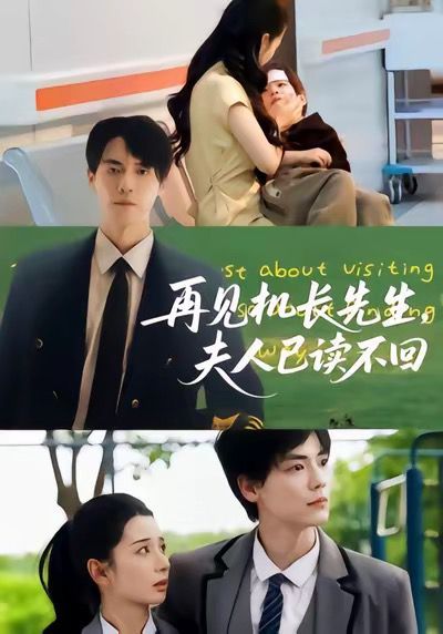 再见机长先生夫人已读不回}