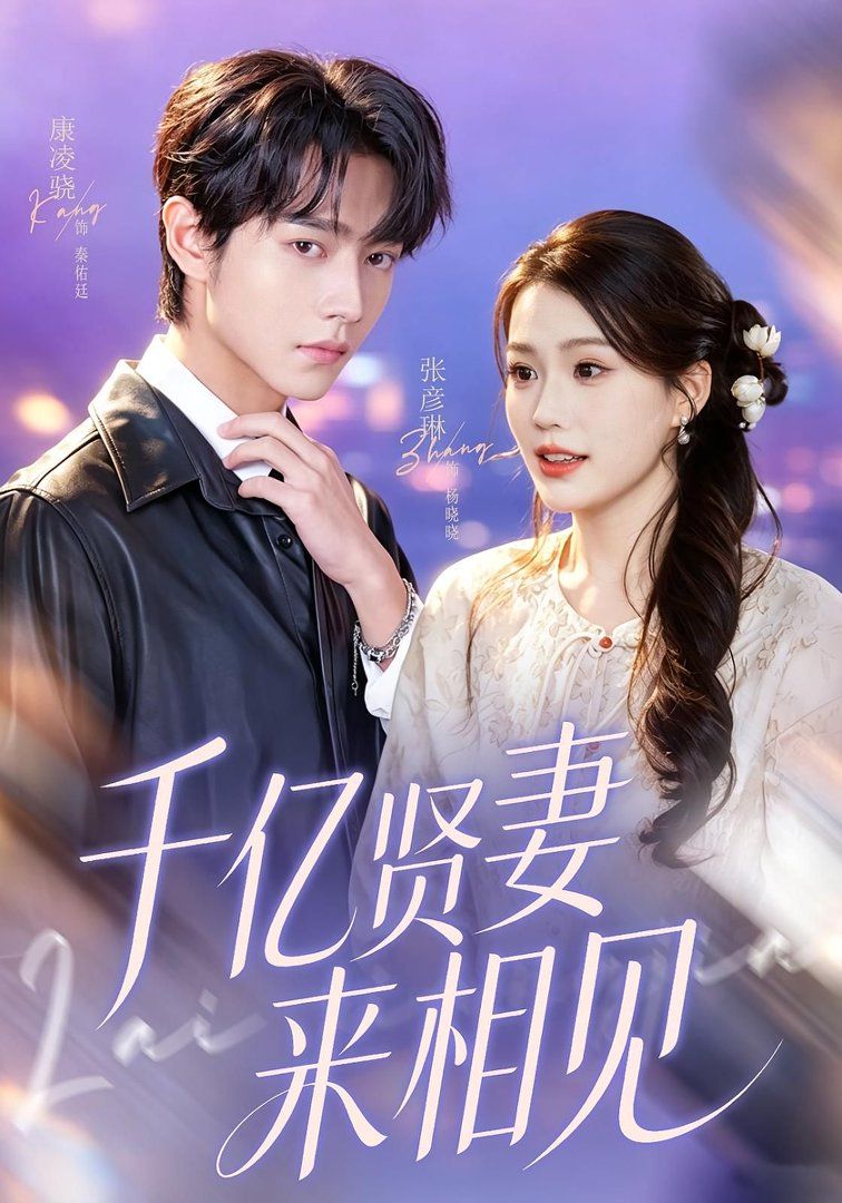 千亿贤妻来相见（钻石贤妻来相见）}