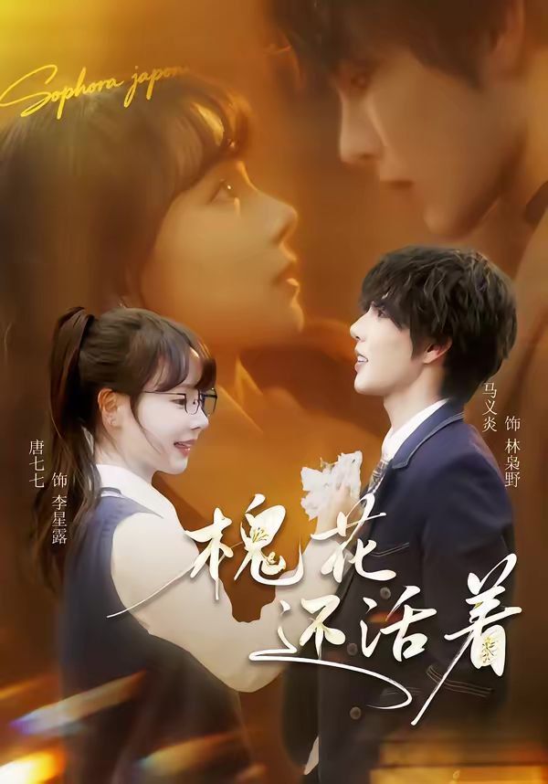 槐花还活着}