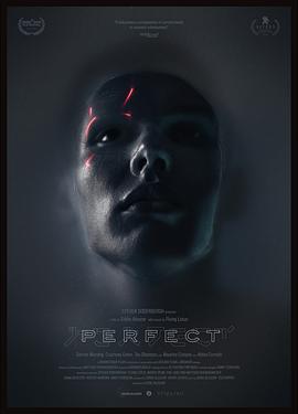 完美Perfect}
